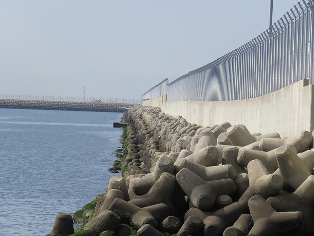 resize1563 写真: resize1563