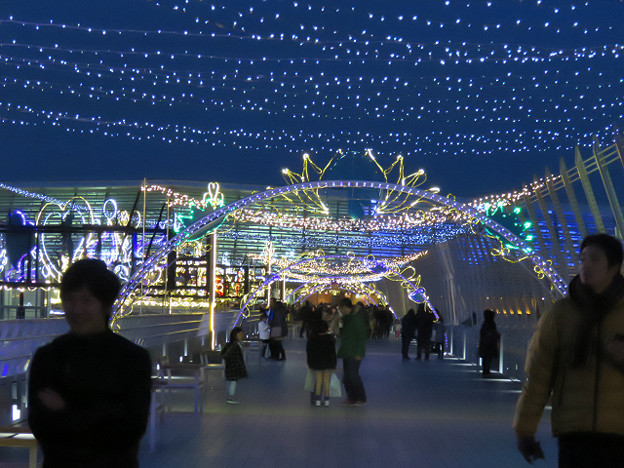 resize1683 写真: resize1683