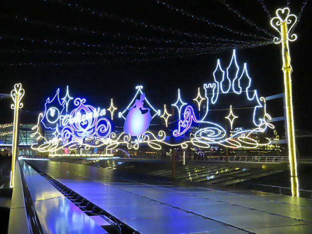 resize1695 写真: resize1695
