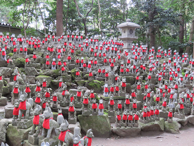 resize1825 写真: resize1825