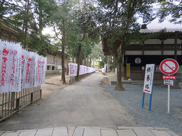 resize1826 写真: resize1826