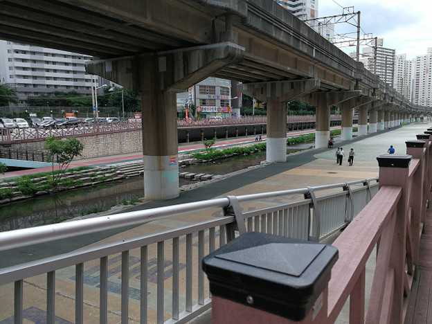 resize17031 写真: resize17031