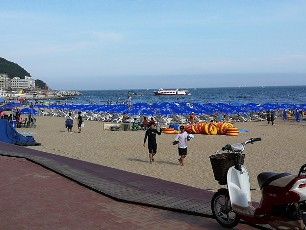 resize17113 写真: resize17113