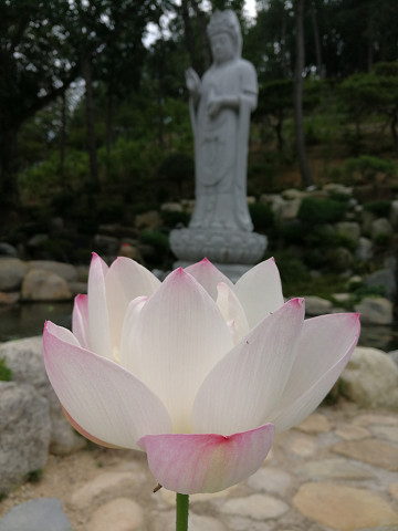 resize17221 写真: resize17221