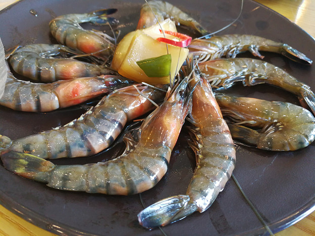 resize17244 写真: resize17244
