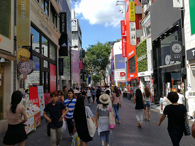 resize17526 写真: resize17526