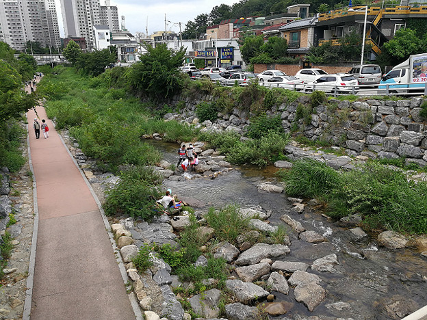 resize17745 写真: resize17745