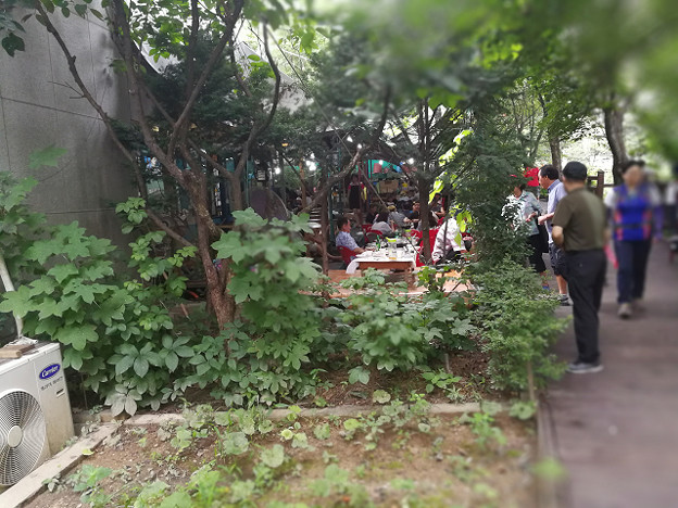 resize17783 写真: resize17783