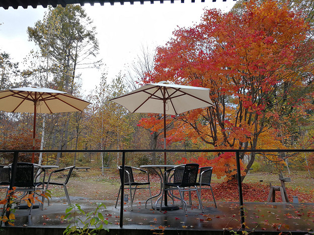 resize18147 写真: resize18147