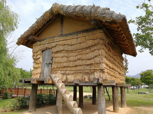 resize18368 写真: resize18368