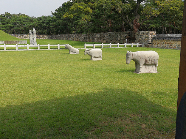resize18387 写真: resize18387