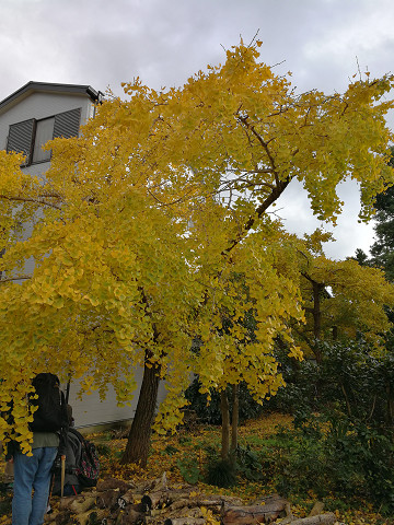 resize18756 写真: resize18756