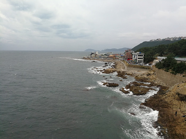 resize19636 写真: resize19636