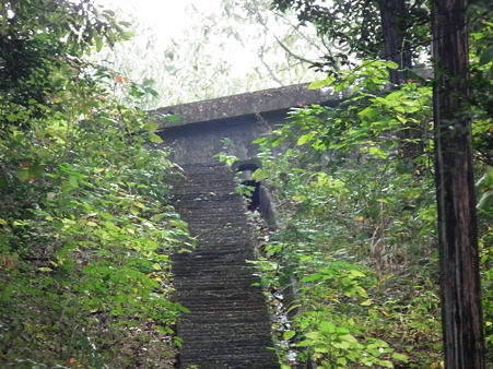 DSCF4179
