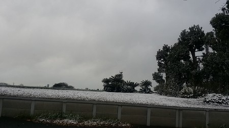 16センター南20150101