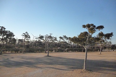 Ryuou20150124-033Site