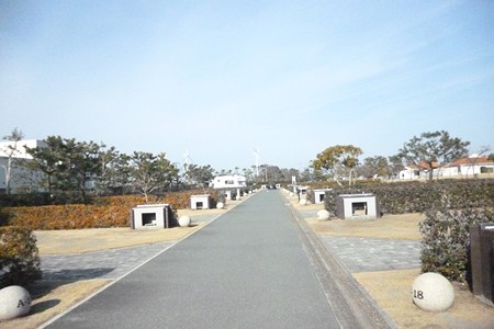 Ryuou20150124-081Site