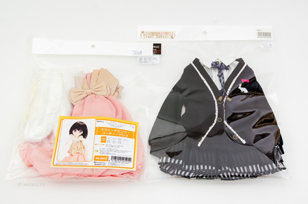 2014年11月ドレス発表会購入品