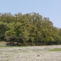 P1070945 (800x534)