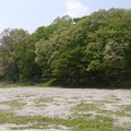 P1070951 (800x534)