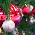 Photos: クリスマス飾り