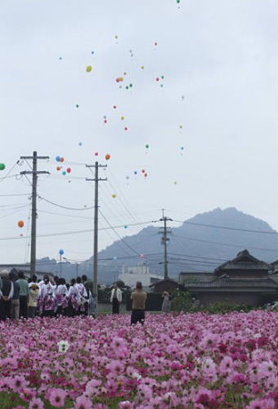 DSCF6160_1106