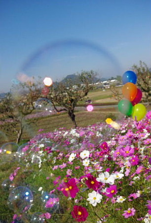 IMGP8747_1029
