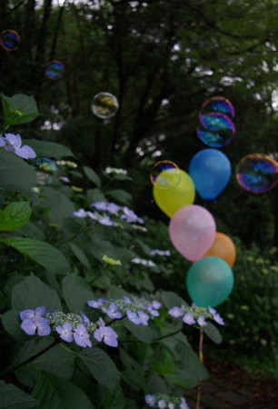 IMGP0282_0617