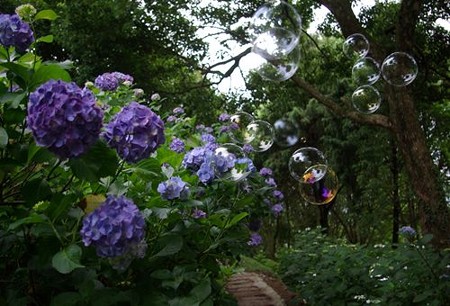 IMGP0037_0617