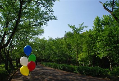 IMGP6455_0510