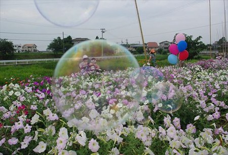IMGP1019_0713