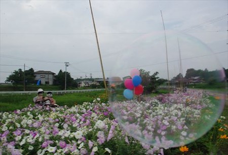 IMGP1061_0713