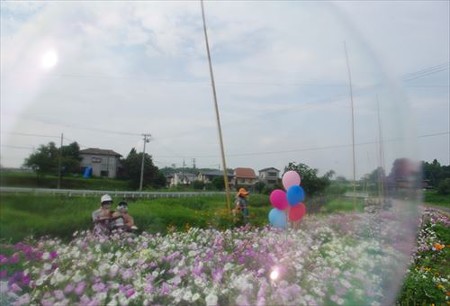 IMGP1134_0713