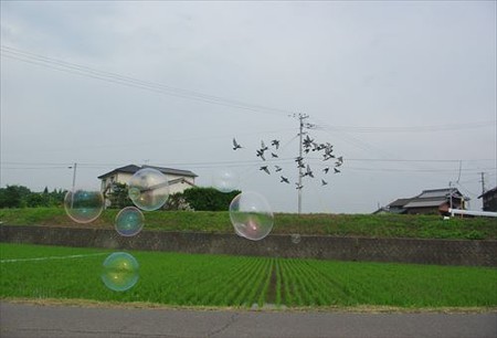 IMGP1135_0713