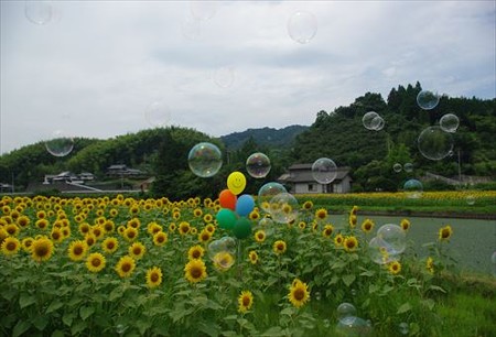 IMGP1814_0719