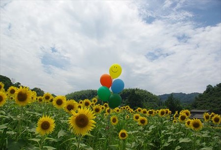 IMGP1976_0719