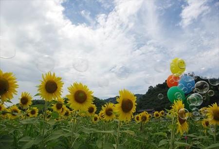 IMGP2063_0719