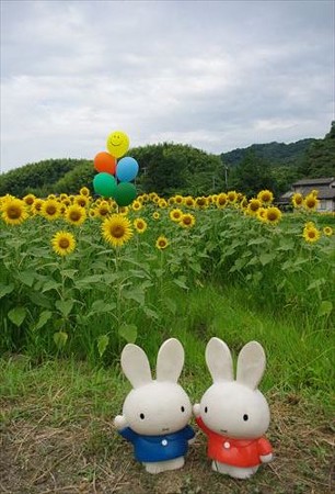 IMGP1669_0719