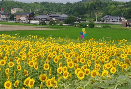 IMGP8869_0720