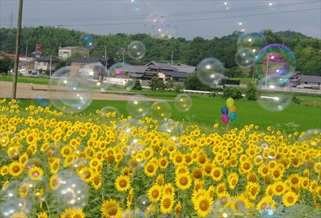 IMGP8874_0720