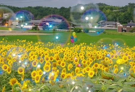 IMGP8896_0720
