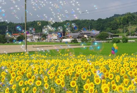 IMGP8903_0720
