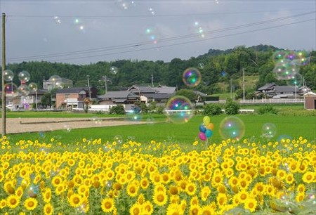 IMGP8905_0720
