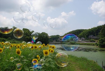 IMGP9092_0720