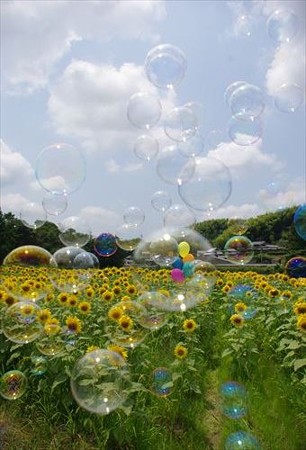 IMGP9111_0720