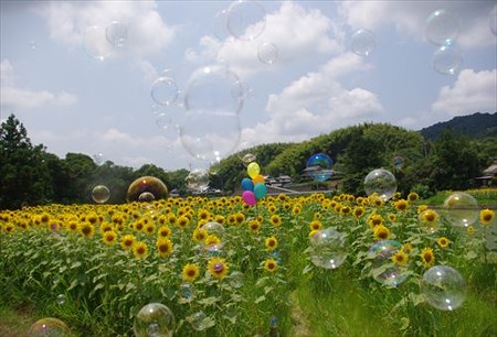 IMGP9128_0720