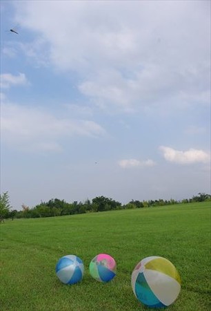 IMGP9540_0726