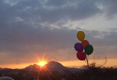 DSCF8113_0726