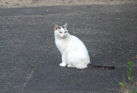 DSCF8171_0727