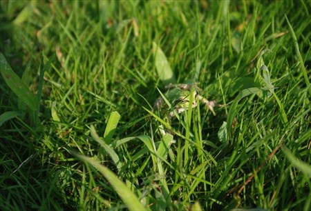 IMGP2729_0727